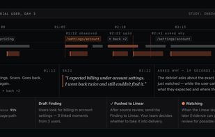 UserTold.ai screenshot 1