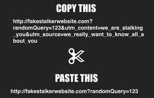 UTMBeGone screenshot 1