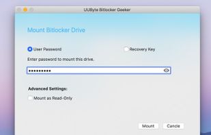 UUByte BitLocker Geeker screenshot 1