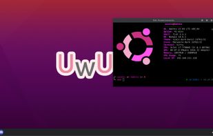 UwUntu screenshot 1