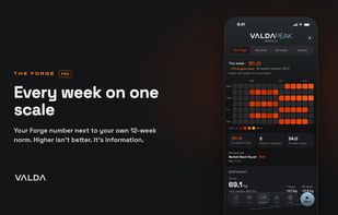 VALDA screenshot 1