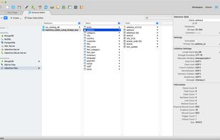 Schema Editor - Column View