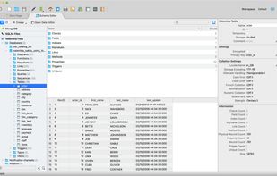 Schema Editor - Tree View