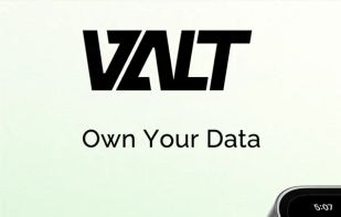 Valt DVPN screenshot 1