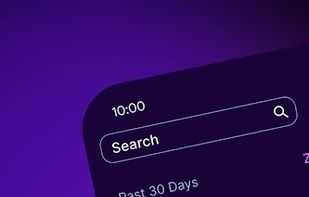 Vanish Private AI screenshot 3