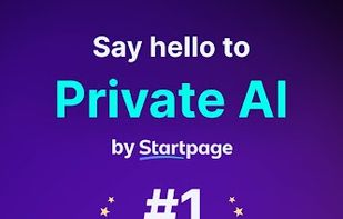 Vanish Private AI screenshot 1