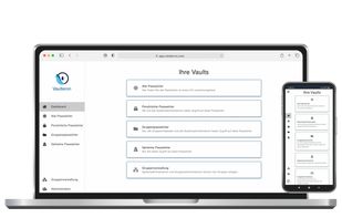 Vaulteron screenshot 1
