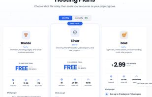 VavaHost hosting plans for WordPress websites, developers, and small businesses, with affordable monthly pricing and a 3-day free trial.