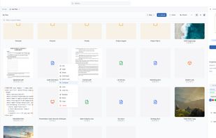 File viewer - vBoxxCloud