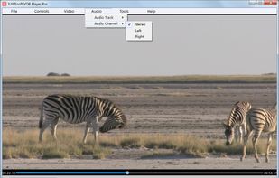 VDB Player Pro screenshot 2