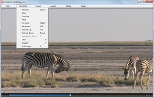 VDB Player Pro screenshot 1