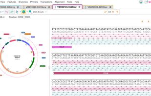VectorBee screenshot 3
