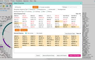 VectorBee screenshot 2