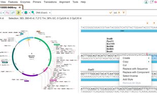 VectorBee screenshot 1