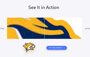 Vectorizer.AI screenshot 1