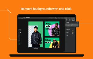Linearity Curve screenshot 3