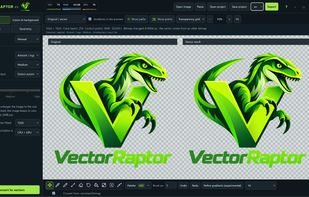Main application view - 
Left: the original, 
right: the vector result.