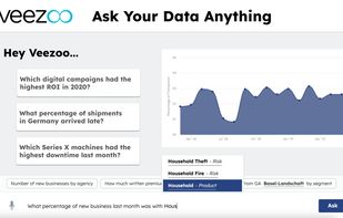 Veezoo screenshot 1