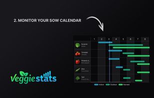 Veggie Stats screenshot 1