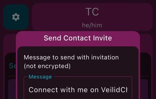 VeilidChat screenshot 1