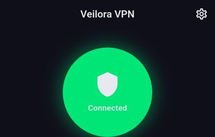 Connected in one tap. Real-time speed stats, current server, and remaining traffic — all on one screen. Powered by VeilShift™.
