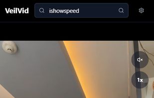 VeilVid screenshot 1