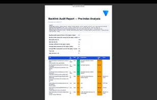 Generated audit report with risk labels, indexing recommendations, and backlink integrity scoring.