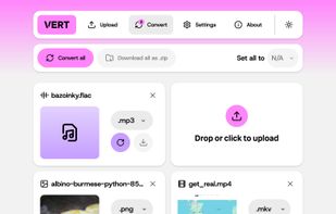 Conversion page, many files (light mode)