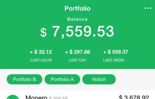 Vertfolio screenshot 1