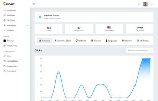 Veshort link analytics