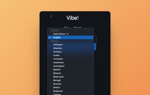 Vibe Transcribe screenshot 1