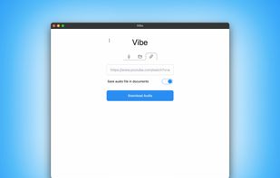 Vibe Transcribe screenshot 3
