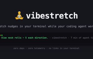 vibestretch screenshot 1