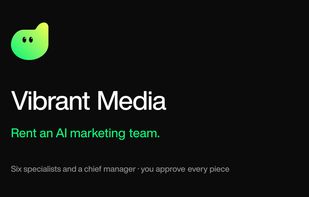 Vibrant Media screenshot 1