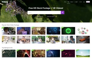 Videezy screenshot 1