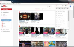 Video Blocker screenshot 1