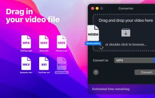 Video Converter screenshot 1