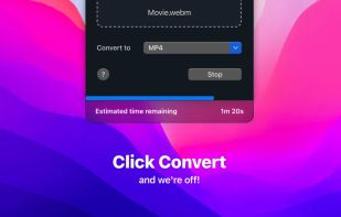 Video Converter screenshot 3