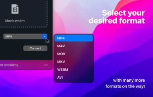 Video Converter screenshot 2