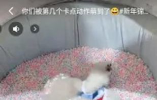 Video Downloader for TikTok screenshot 2