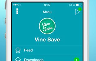 Video Downloader for Vine screenshot 3