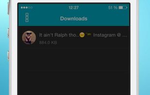 Video Downloader for Vine screenshot 2
