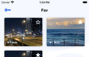 This is the folder inside the video thum display you can play that