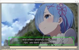 video subtitle extractor screenshot 1