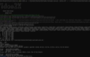 Video2X screenshot 3