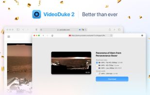 VideoDuke screenshot 1