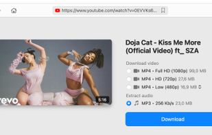 VideoDuke screenshot 3