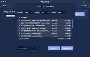 VideoHunter screenshot 2