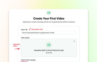 VideoMule screenshot 2