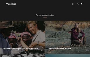 VideoNeat screenshot 1